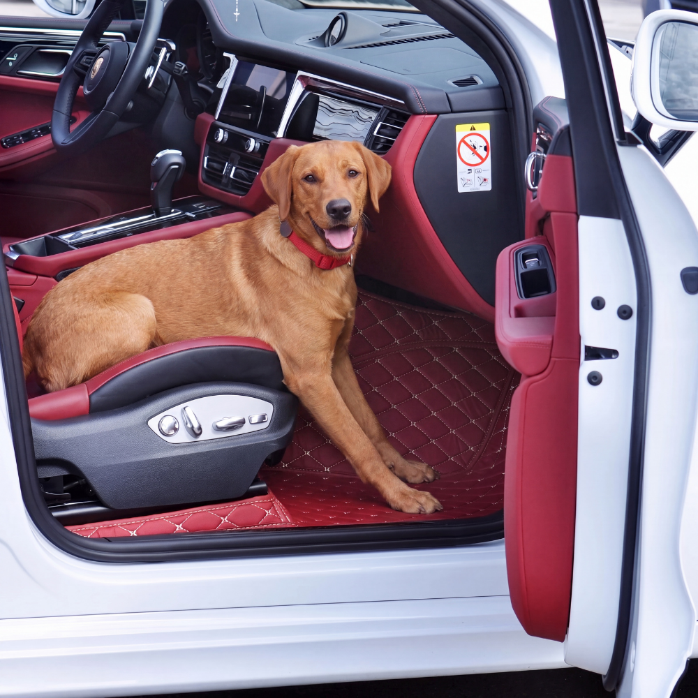 Fur Friends custom car floor mats